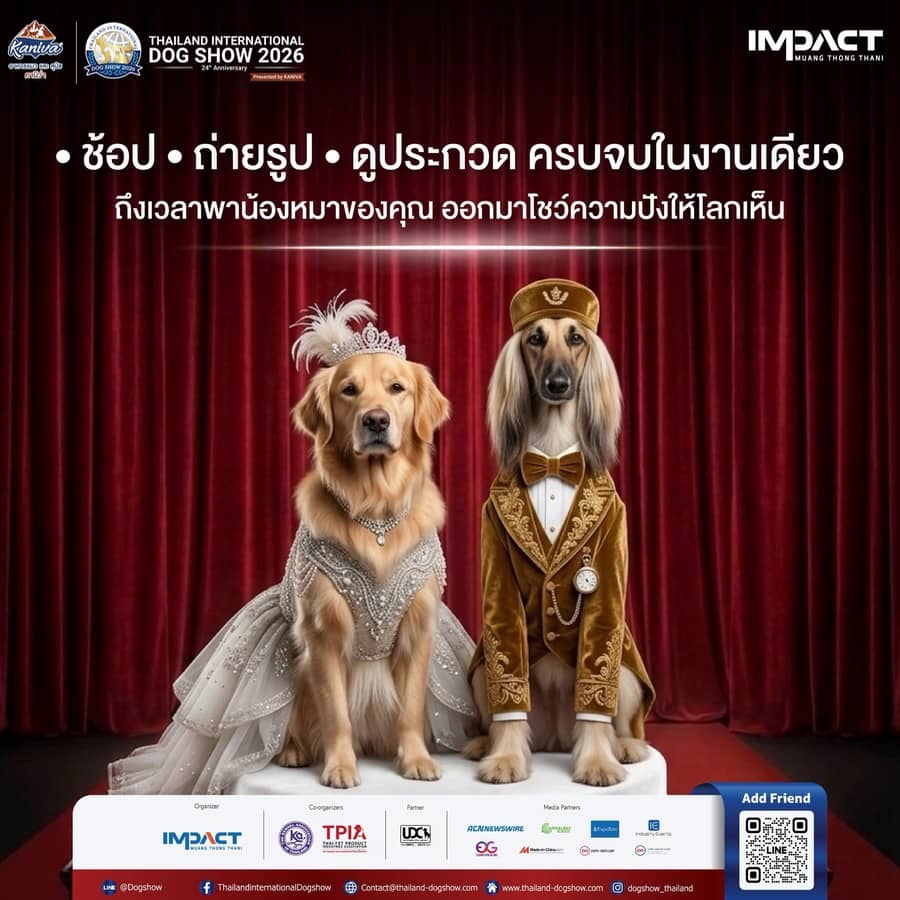 Thailand International Dog Show 2026: The ICONIC - Image 4